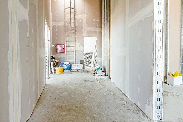  Heartland, TX Mold Removal Pros
