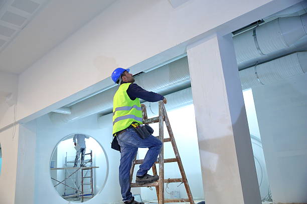 Best Mold Damage Restoration  in Heartland, TX
