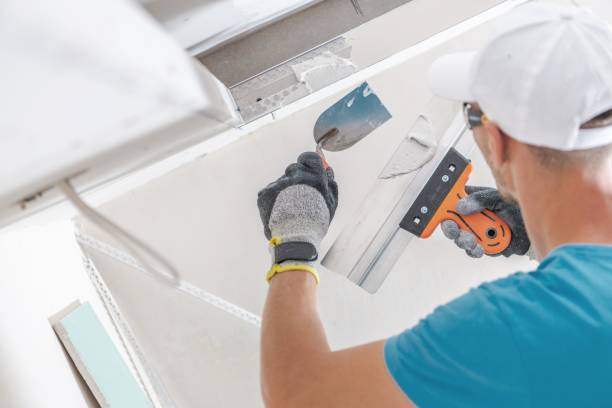 Best Water Damage & Mold Remediation  in Heartland, TX